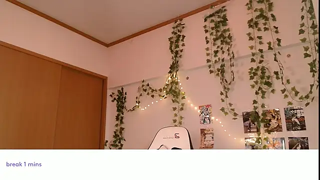 Viv_Player webcam