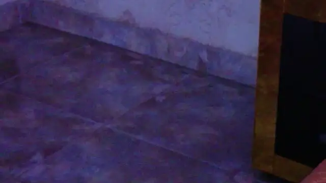 AshleyMorgans webcam