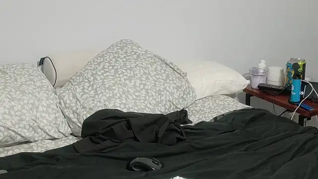 allenspuninfla webcam