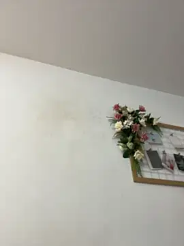 IvonneOwen webcam