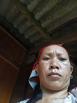 Heli_pusy webcam
