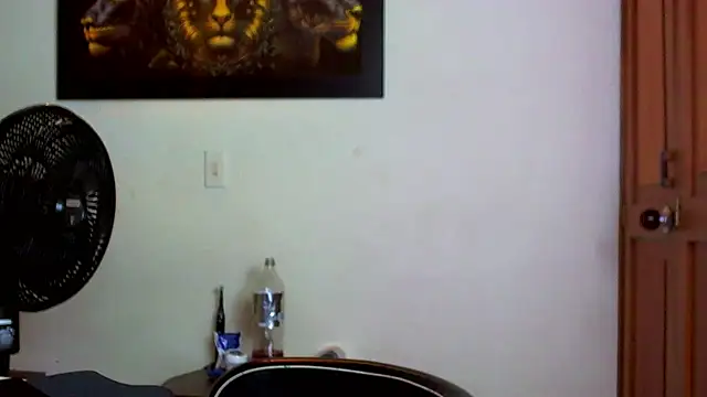 ragnar0825 webcam