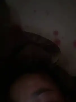 Vyvan_iu webcam