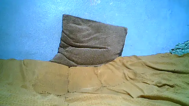 little__joy webcam