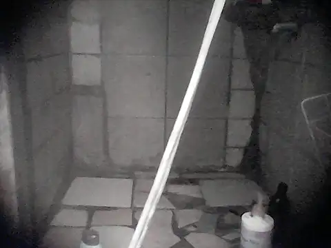 Twoslipperywhenwett webcam