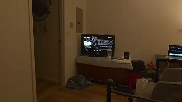 Livingpuddle webcam