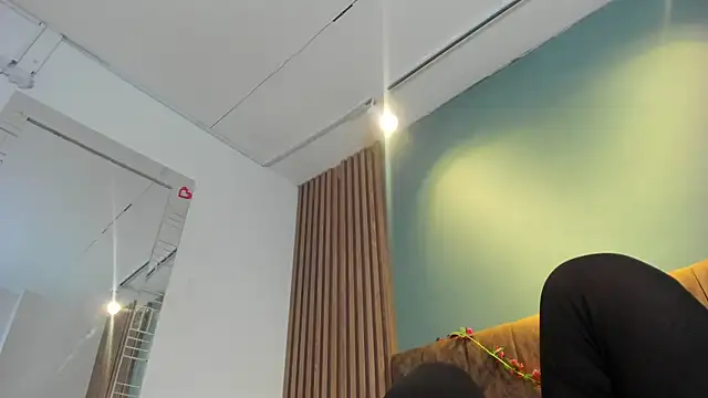 HannaWen_ webcam