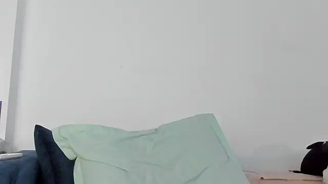 10in_deluxe webcam