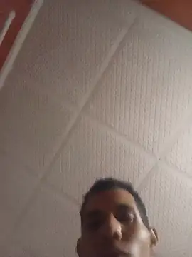 Bendesbi