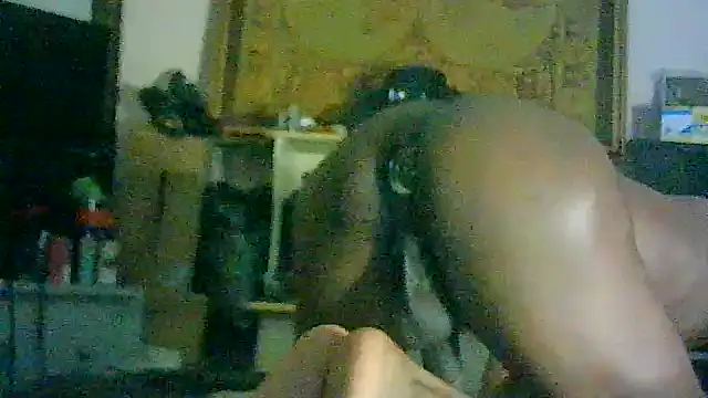 CR3M3_FIR3 webcam