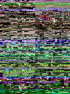 BambiKitty webcam