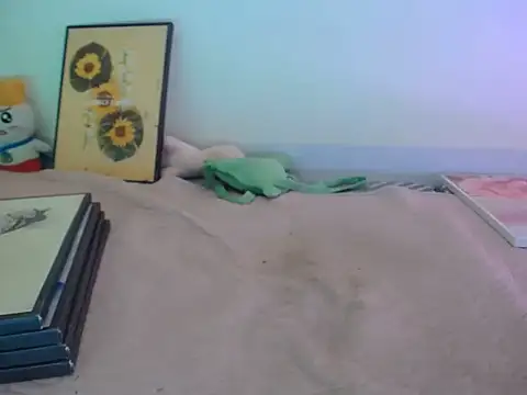 Kaya-Linkk webcam
