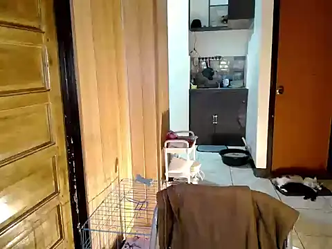 jakoloten webcam