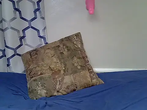 Shash_drip webcam
