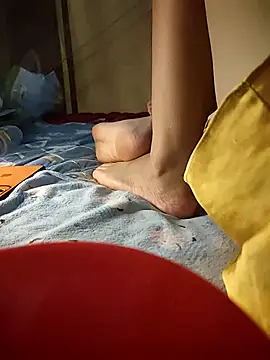 -Tara-a webcam