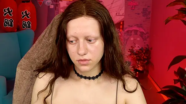 LidaDarknet webcam