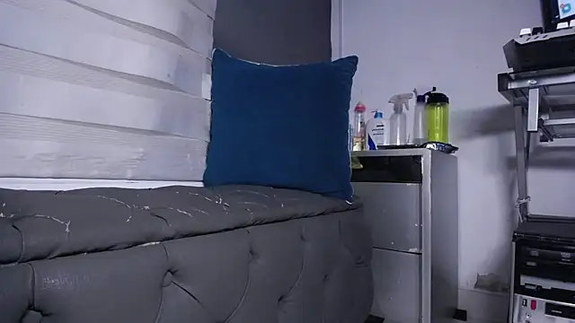 dirty_27cms webcam