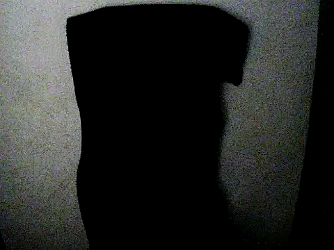 flayeyena webcam