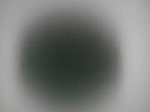 brownskinbull1 webcam