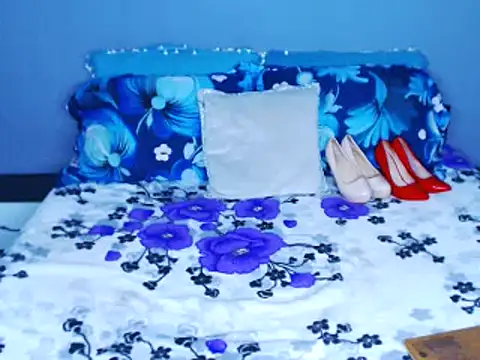 mira90dirty webcam