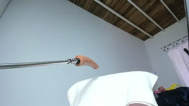 Benjamin_Buster webcam