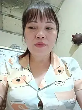 Sana-vn webcam