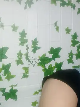 lee_chang- webcam