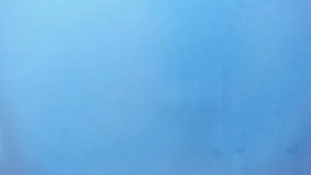 Charlie___Musk webcam