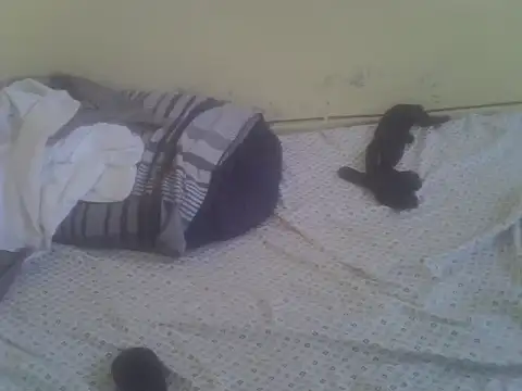 cute-shamza webcam