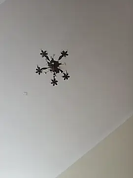Lika8234 webcam