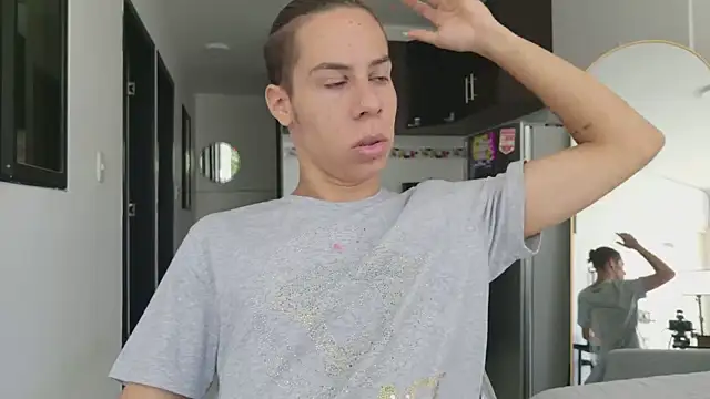 grey___27 webcam