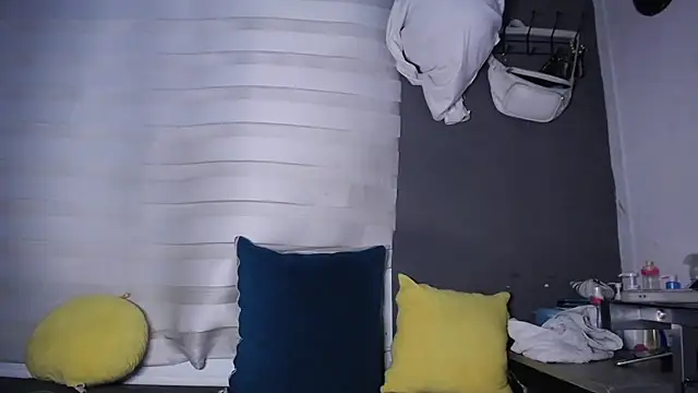 dirty_27cms webcam