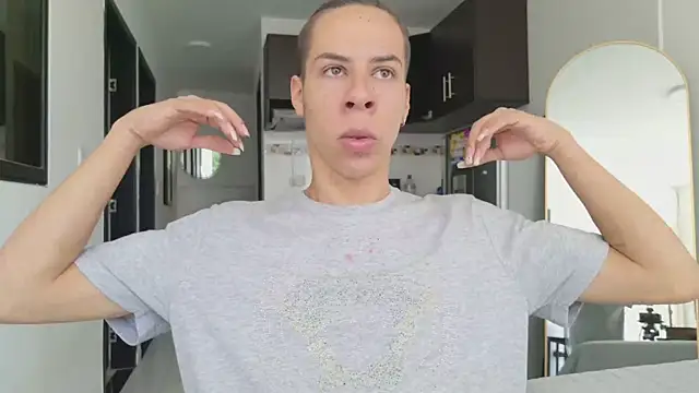 grey___27 webcam
