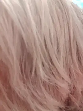 Missy_DM webcam