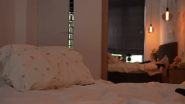ibiddi webcam