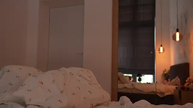 ibiddi webcam