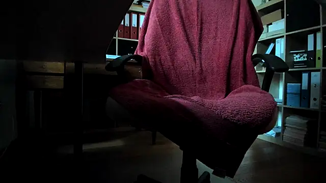 leccaleccafiga webcam