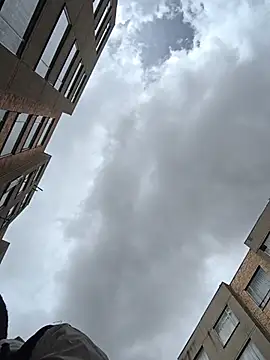 Tiger_cryad live cam