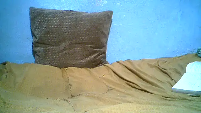 little__joy webcam