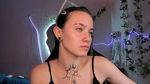 Elastikisss webcam