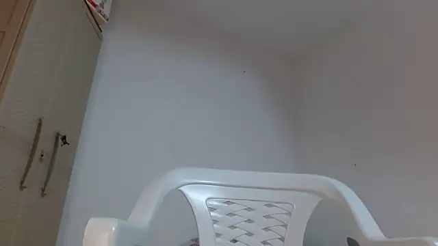 Agatha_browser webcam