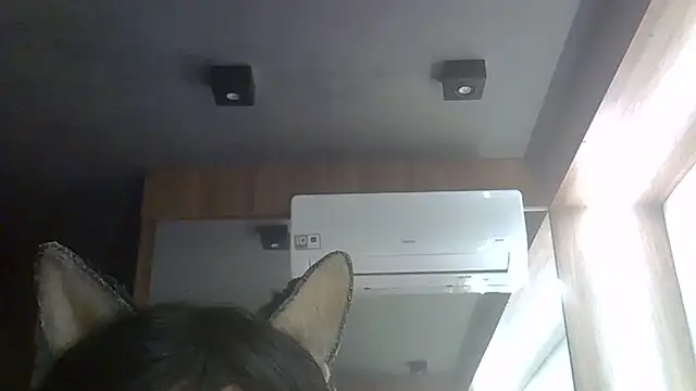 SkinnyKitten live cam