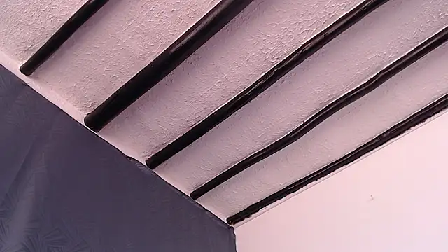 Freyja_eter webcam