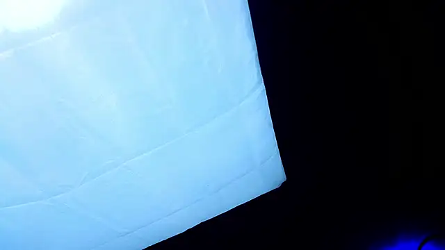 PerryKitty webcam