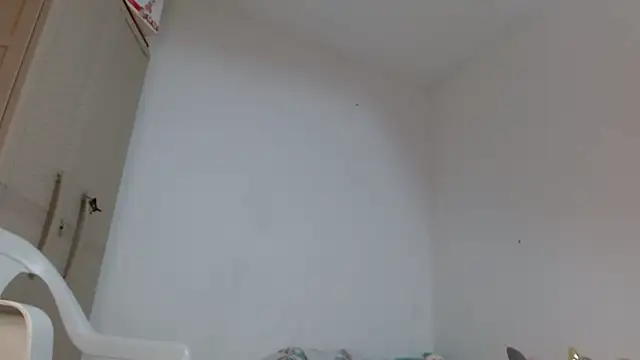 Agatha_browser webcam