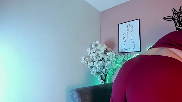 karo_linee1 webcam