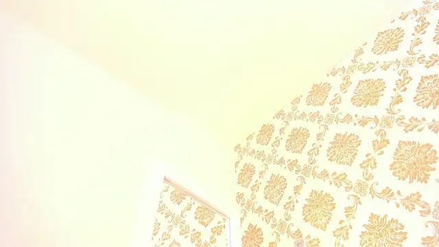 emaa_lambert webcam