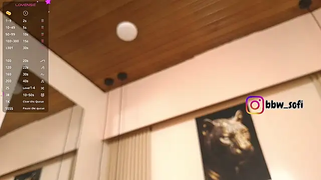virtual_charm webcam