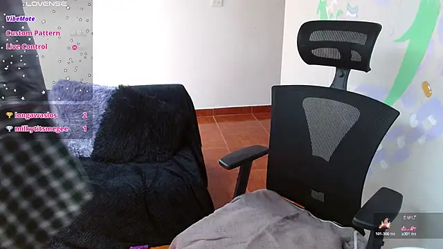 Canela_s1 webcam