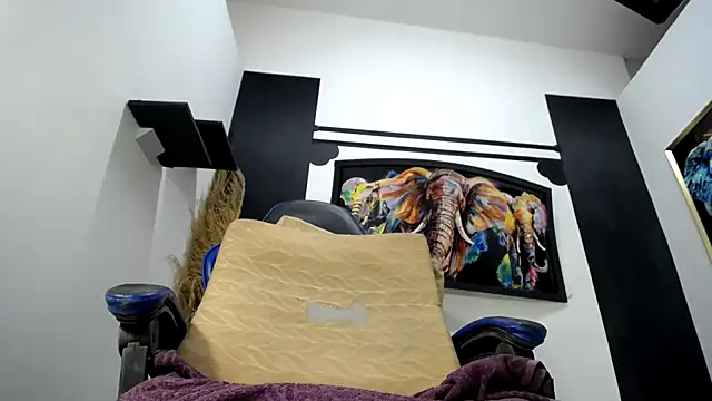 laura_fit webcam